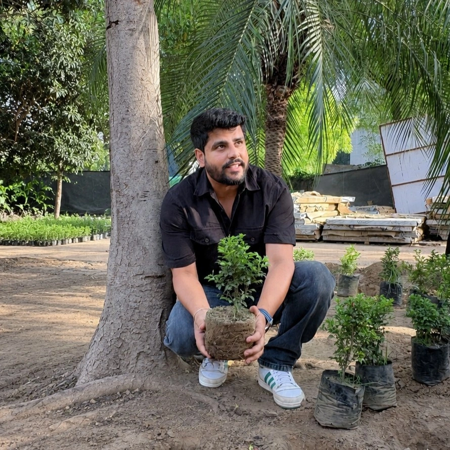Hands holding soil with a fresh sprouting green leaf plant